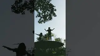 Dsco