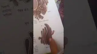 11th NCERT bio