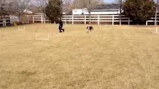 Tasha, Casey, Open Hoopers, Feb 8, 2015