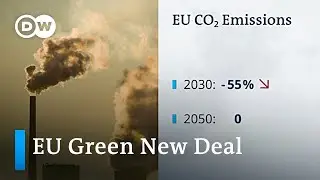 EU's 'greener' new deal: Can the industry keep up? | DW News