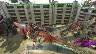 (Ark Official PvP) MeatRunning WF vVv on 135