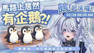 【早安台】鵺！起床囉！｜街頭出現企鵝？【小鵺野紗音／芥川組】