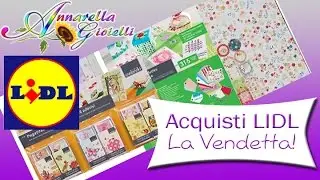Acquisti Lidl: la vendetta | Ho trovato le carte! Giugno 2015