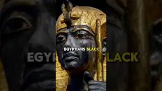 Were the ancient Egyptians black?#ancientegypt #history #blackegyptians #egypt