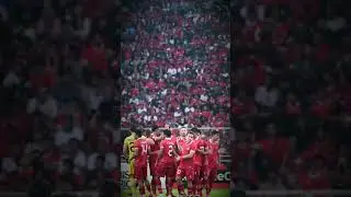yo bisa yo