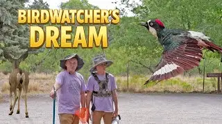 Birdwatching in Cave Creek Canyon, Arizona
