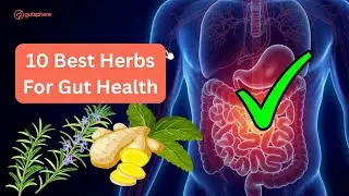 10 Doctor Approved Herbs From Around The World For Gut Health