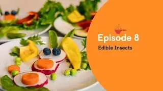 KinderCare Cooks Ep 8: Edible Insects