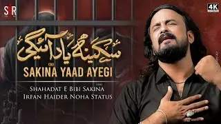 13 Safar Shahadat e Bibi Sakina (sa) | Irfan Haider | Sakina Yad Ayegi | Noha Status | 2023/1445