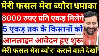 मेरी फसल मेरा ब्यौरा कराने वालो को 5 एकड़ तक 8000 रुपए प्रति एकड़ मिलेगे, आनलाइन आवेदन शुरू,  #mfmb