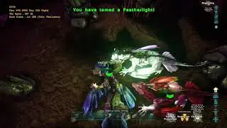 FeatherLight taming and personal space?