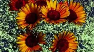 Howard Parker Time  song
