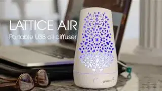 GreenAir Lattice Air Diffuser