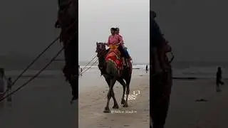 Guhagar Beach | Kokan Beach | Beautiful Beaches of Maharashtra
