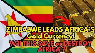 Zimbabwe to CONTROL Africa&rsquo;s New GOLD Currency? AfroGold Shocks the World!