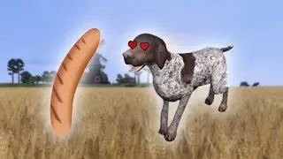 Feeding Stray Dogs In Farmer's Dynasty