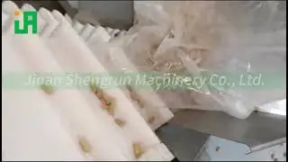 Twin screw Soy Protein / artificial meat food making extruder production line