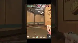 Ace with aim assist off and brain offline 💀🧠#valorant #memes