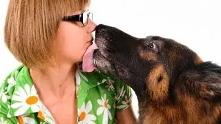 How to Deal with a Bad Kisser | Kissing Tutorials