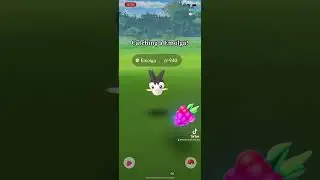 Catching an Emolga!