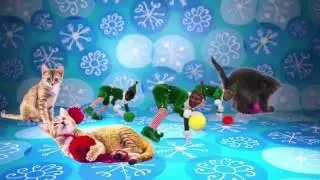 Point21 Holiday Greetings