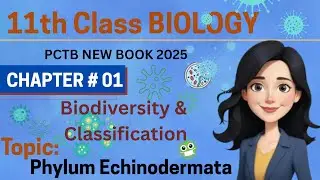 Phylum Echinodermata | kingdom Animalia| New Biology 1st year | chapter # 1.
