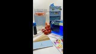 World Ocean Day STEM Activities For Kids
