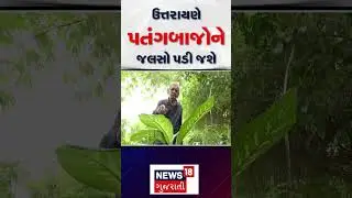 Kite Festival 2026 | ઉત્તરાયણે પતંગબાજોને જલસો પડી જશે | Weather | Winter | Cold | Gujarat