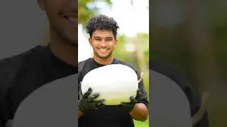 Have You Ever Tried Ash Gourd Juice?