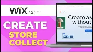 Как создать коллекции Wix Store