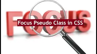 Focus Pseudo Class CSS: Tutorial for beginners and intermediates | CSS Animation Tutorial 2021