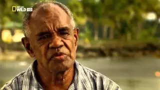 Nat Geo Wild HD Islands Fiji HD NatureHistory Documentary