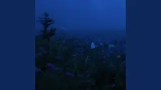 serenity (slowed)