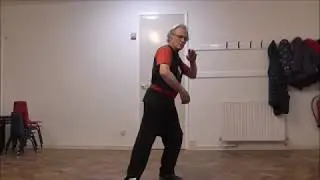 Lesson 42: Cloudy Palm Ward Off: Li (Lee) Family Style T'ai Chi Ch'uan
