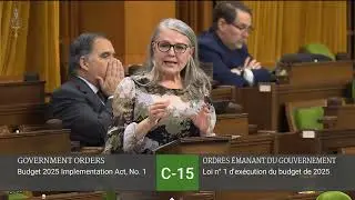 Budget 2025: Carney before Canada