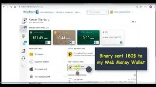 Binary 180$ Withdraw Web Money Wallet