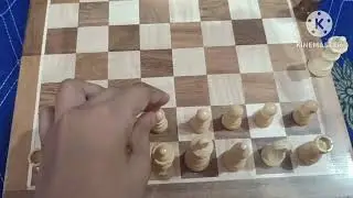 BCBESTCHESS Wooden Handcrafted Foldable Magnetic Chess Board Set with Magnetic Pieces REVIEW!