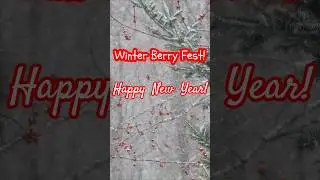 Winter Berry Fest! Happy New Year! #cardinal #newyear #shorts