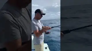 Horse Eye Jack #fishing