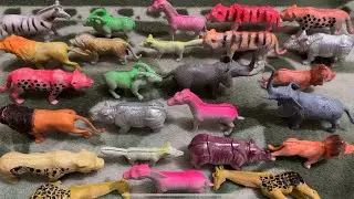 ASMR Unboxing🎁🐄🐇: Safari Plastic Animals Review & Collectible Safari Toys