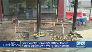 Coroner: Bones Found At Downtown Construction Site Not Human