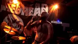 Shredhead - Live at Koro 9/5/15