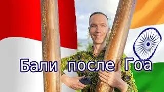Бали и Индия: столь разные и столь одинаковые. Где лучше еда? Где какие экспаты? А как с религией?