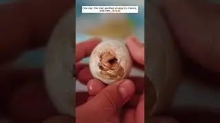 One day, this man spotted an egg by chance, and then... #animalshorts