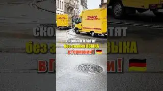 Работа в Германии, никто не верит в это&hellip; Сколько платит почта DHL.