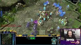 PROTOSS PLATINA COM CHEIRINHO DE DIMA - STARCRAFT 2 SC2 LADDER PROTOSS 3K MMR