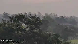 Peacock ki awaz sound Amba Ghat Kolhapur 