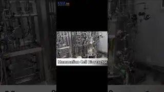 Biopharmaceuticals: KNIKbio's Mammalian Cell Bioreactor Technology