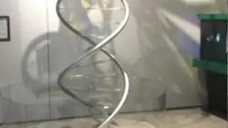 DNA PhenoWOB ДНА