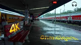 Waiting for the Train in Rain (Binaural Ambience Sounds) 4K ASMR